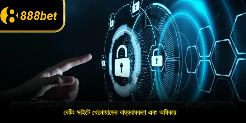 বেটিং সাইটে খেলোয়াড়ের বাধ্যবাধকতা এবং অধিকার