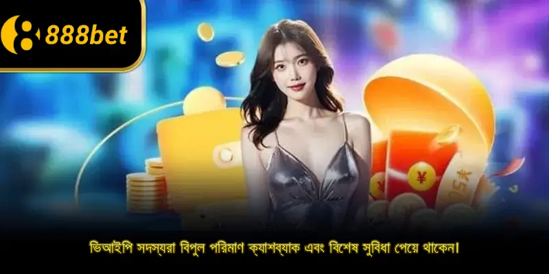 ভিআইপি সদস্যরা বিপুল পরিমাণ ক্যাশব্যাক এবং বিশেষ সুবিধা পেয়ে থাকেন।