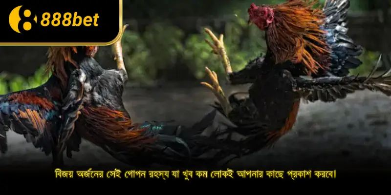 বিজয় অর্জনের সেই গোপন রহস্য যা খুব কম লোকই আপনার কাছে প্রকাশ করবে।