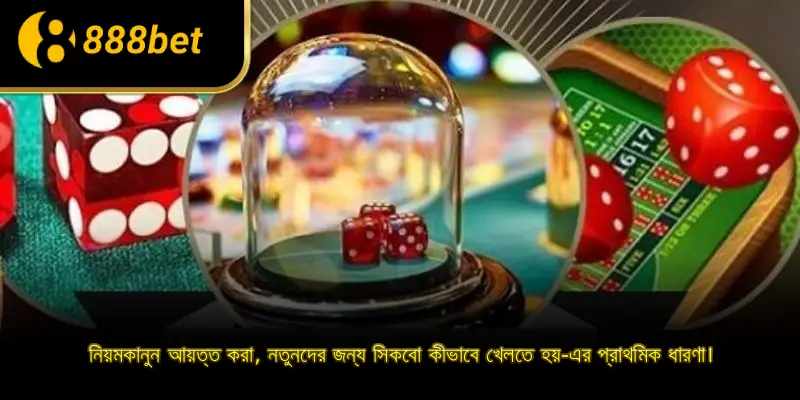 নিয়মকানুন আয়ত্ত করা, নতুনদের জন্য সিকবো কীভাবে খেলতে হয়-এর প্রাথমিক ধারণা।