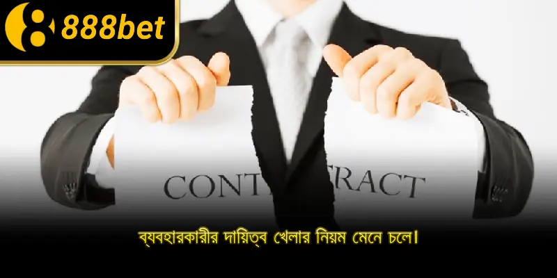 ব্যবহারকারীর দায়িত্ব খেলার নিয়ম মেনে চলে।