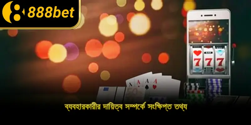ব্যবহারকারীর দায়িত্ব সম্পর্কে সংক্ষিপ্ত তথ্য