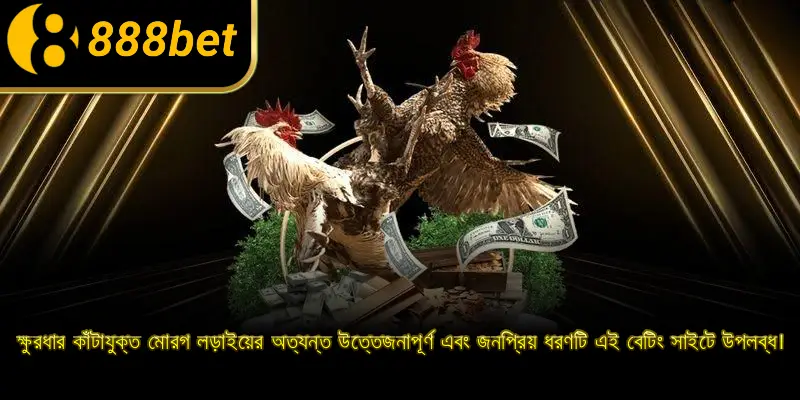 ক্ষুরধার কাঁটাযুক্ত মোরগ লড়াইয়ের অত্যন্ত উত্তেজনাপূর্ণ এবং জনপ্রিয় ধরণটি এই বেটিং সাইটে উপলব্ধ।
