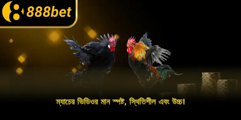 ম্যাচের ভিডিওর মান স্পষ্ট, স্থিতিশীল এবং উচ্চ।