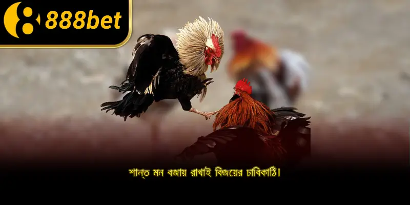 শান্ত মন বজায় রাখাই বিজয়ের চাবিকাঠি।