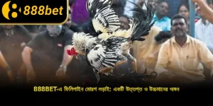 888BET-এ ফিলিপাইন মোরগ লড়াই: একটি উত্তপ্ত ও উচ্চমানের অঙ্গন